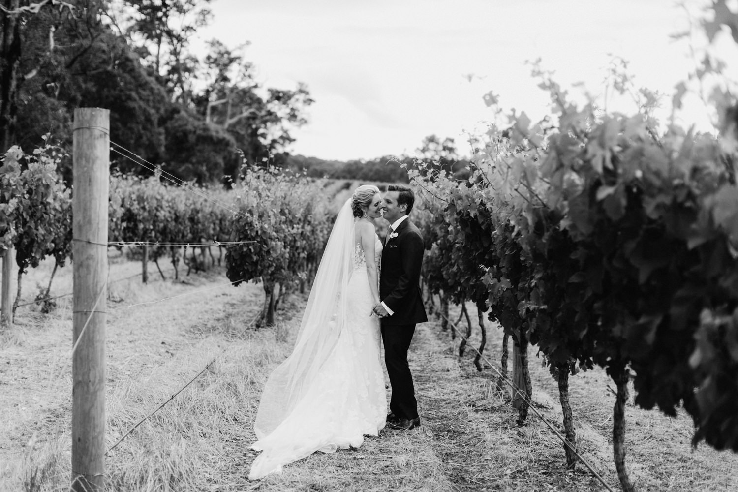 bride and groom in the vineyard at will's domain