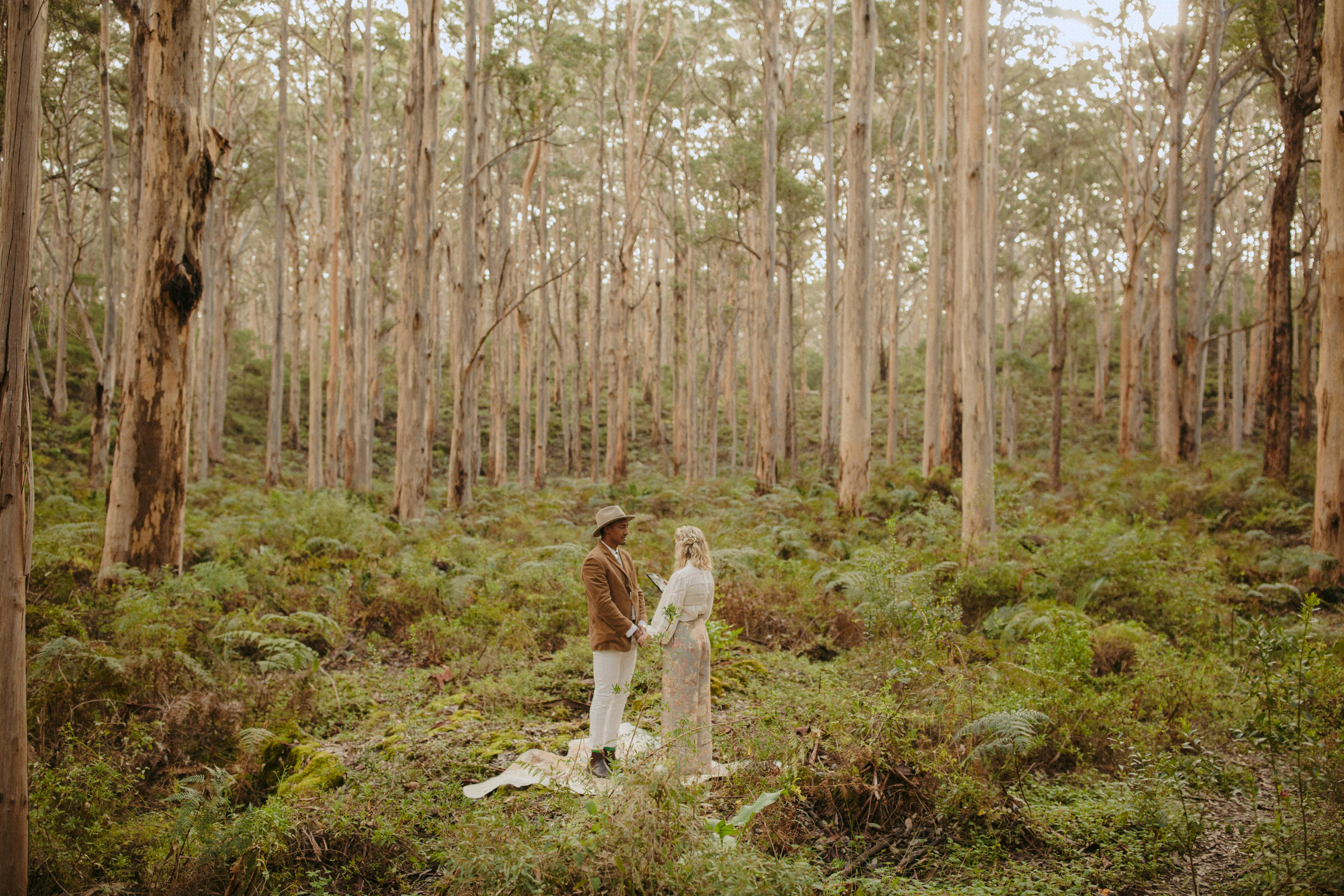 boranup forest elopement
