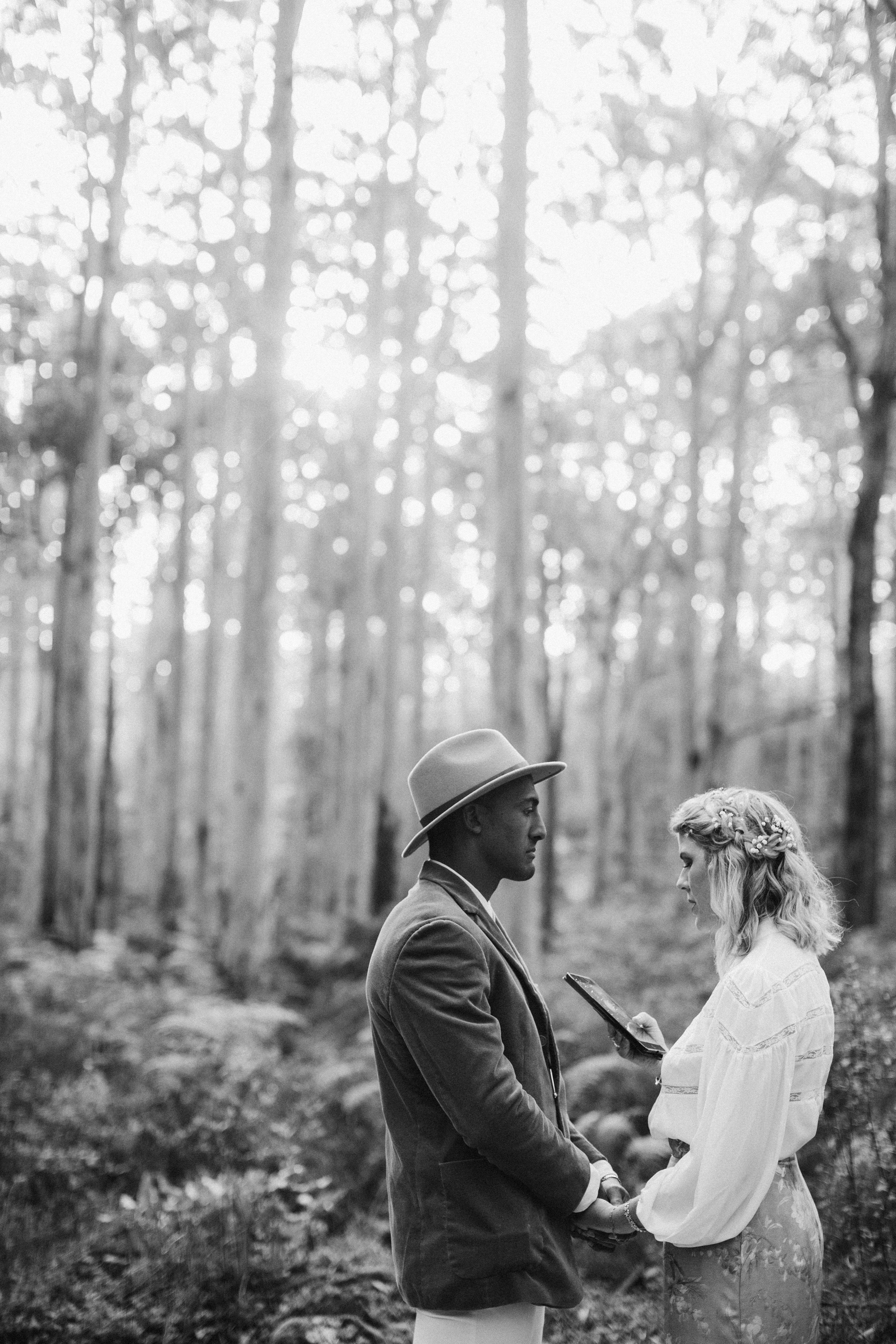 black and white image boranup forest elopement