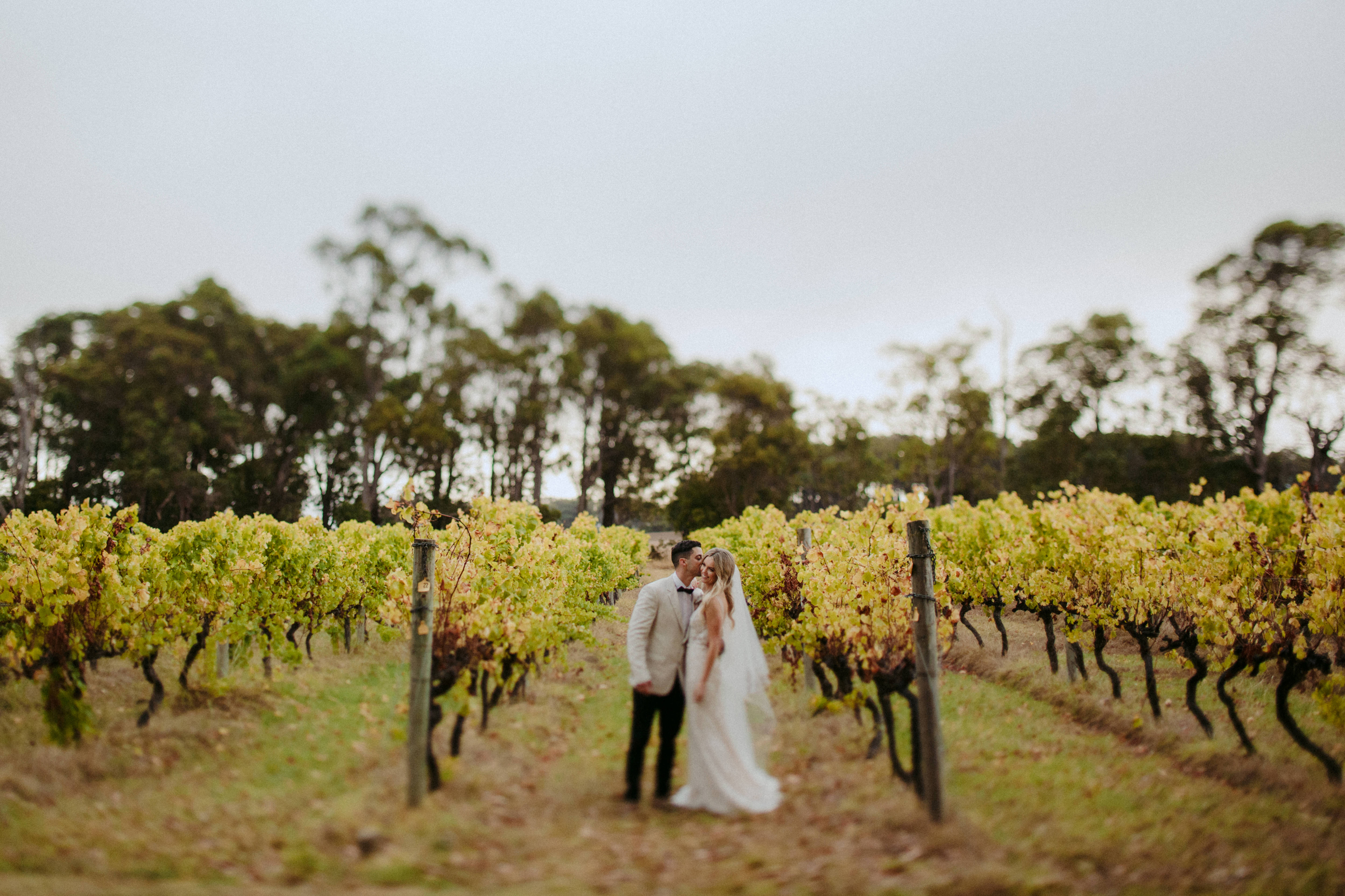 bride and groom in vineyard at hayshed hill
